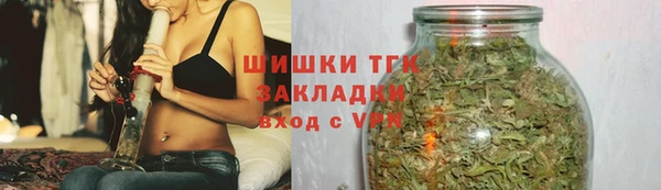 шишки Михайловск