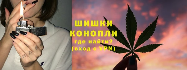 индика Навашино