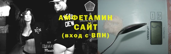 шишки Надым