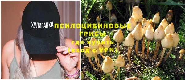 индика Навашино