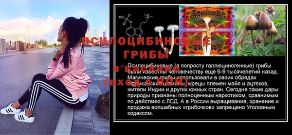 шишки Михайловск