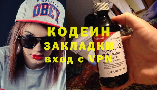 шишки Михайловск
