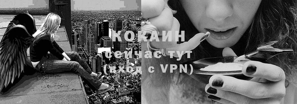 шишки Михайловск