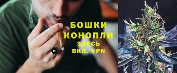 шишки Михайловск