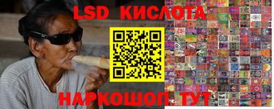 кокс Кингисепп