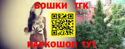 кокс Кингисепп