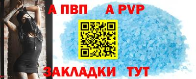 кокс Кингисепп