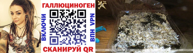 Псилоцибиновые грибы прущие грибы  Лиски 