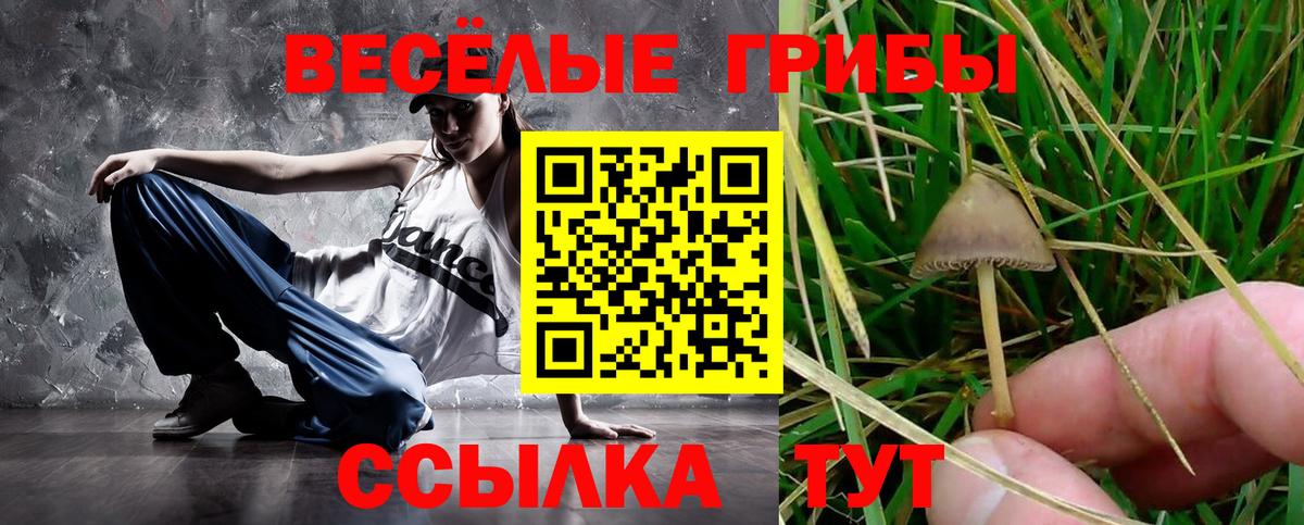 Лиски  Галлюциногенные грибы Magic Shrooms  Вход с VPN 